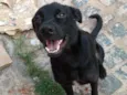 Zeus Mackall Soares