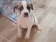 Nina