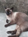 Não tem nome