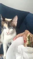Lili