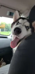 Dante