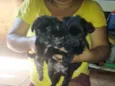 Pelé , Luna , Lua 