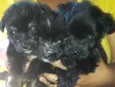 Pelé , Luna , Lua 