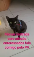 Nega