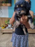 Piter e caramelo