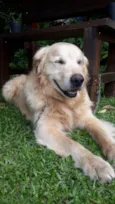 Desconhecido
