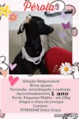 Pérola 