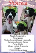 Princesa