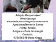 Princesa