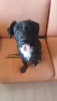 Fiona
