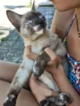 Não sei