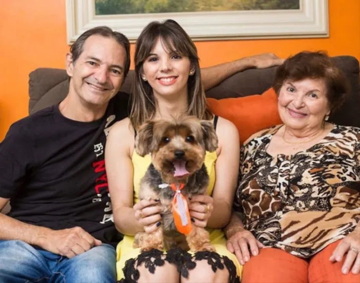 Cachorro ra a Yorkshire  idade 6 ou mais anos nome Romeu
