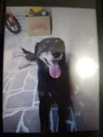 Mine