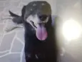 Mine