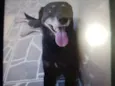 Mine