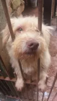 Estamos chamando Ela