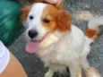Sem nome