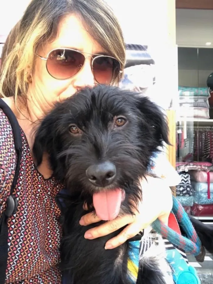 Cachorro ra a SRD idade 1 ano nome Lenine