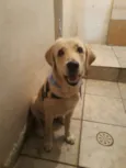 Mel