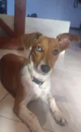 Mika