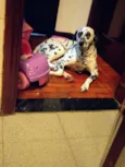 *PERDIDA*