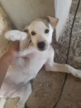 Kiara