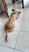 Dulce