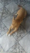Doroty