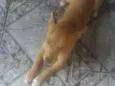 Doroty