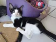 Petite
