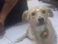Bela