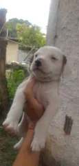Sem nomes