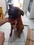 SPIKE