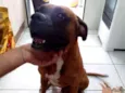 SPIKE
