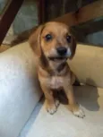 Fred