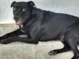 Tyson