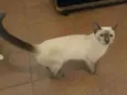 Lili