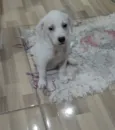 Marley