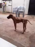 NAO SEI