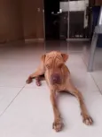 NAO SEI