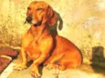 Ringo