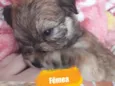 Sem nome