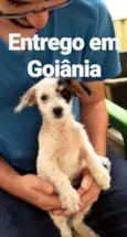 Julieta