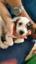 Julieta