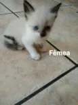 Mia