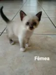 Princesa