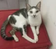 Tina