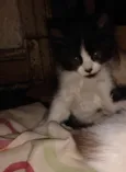 Tony