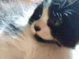 Tony