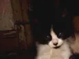 Tony